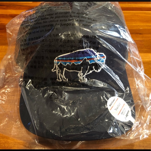 Patagonia Accessories - NWT Patagonia Trucker Hat